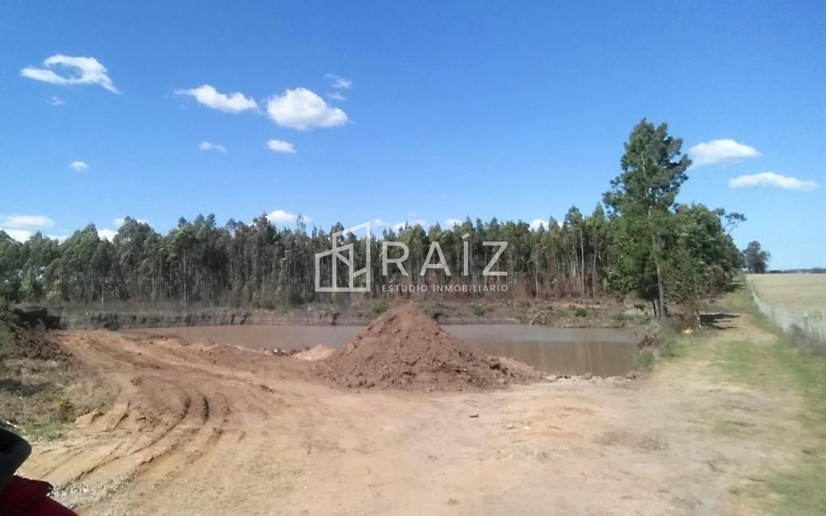 Chacra ID.3939 -  CHACRA EN VENTA DE 7 HECTAREAS MALDONADO