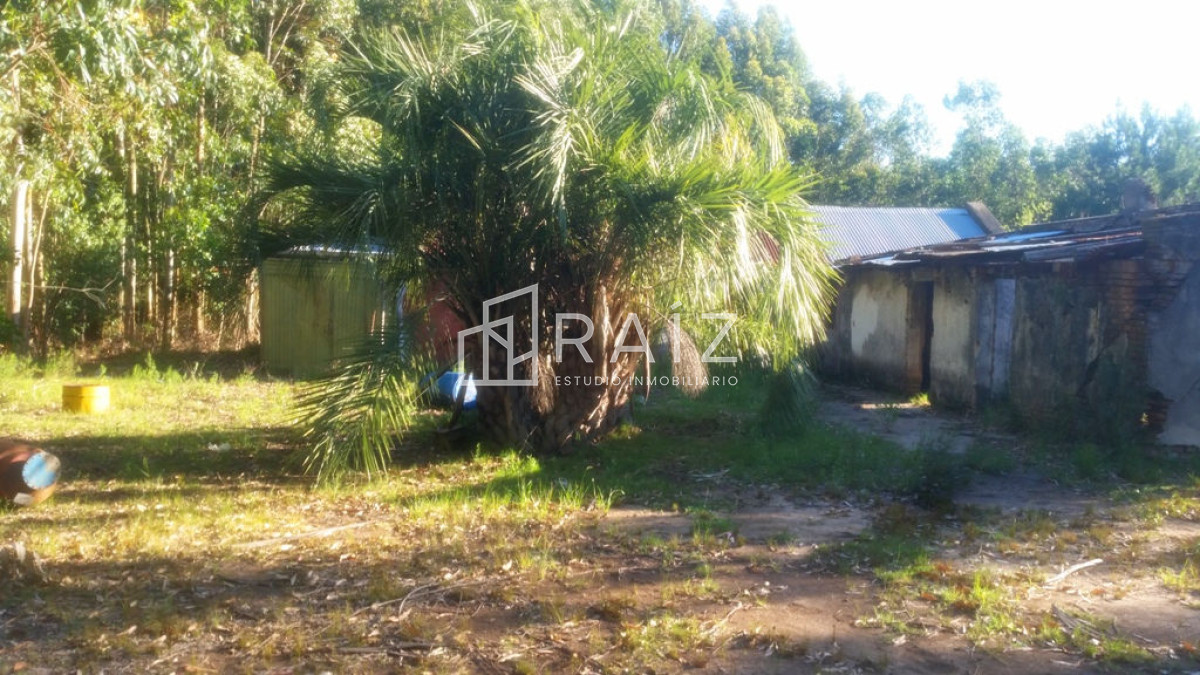 Chacra ID.3939 -  CHACRA EN VENTA DE 7 HECTAREAS MALDONADO