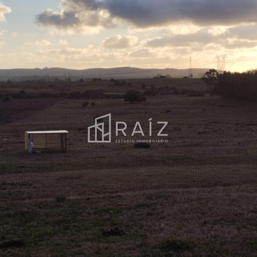 Chacra ID.11165 - Venta Chacra 8 Hás San Carlos R39