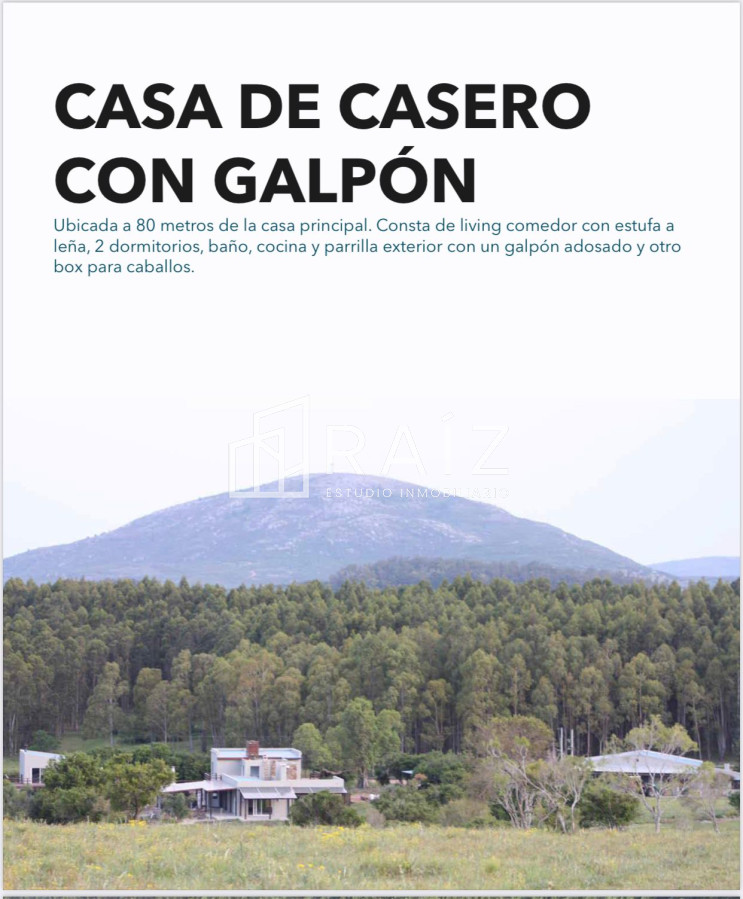 Chacra ID.7121 - CHACRA EN VENTA 134 HAS MALDONADO