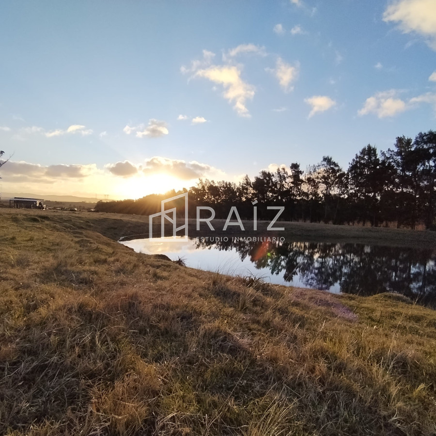 Chacra ID.11165 - Venta Chacra 8 Hás San Carlos R39