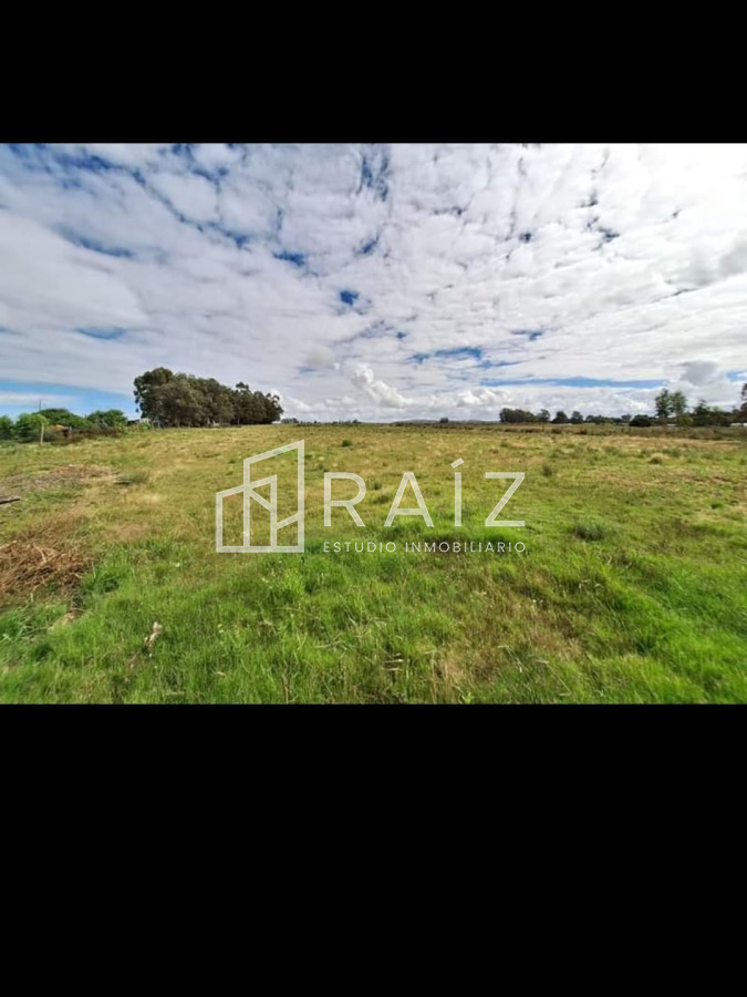 Chacra ID.11178 - Venta Chacra 8 hás, Camino de los Ceibos