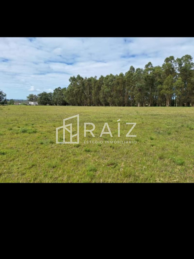 Chacra ID.11178 - Venta Chacra 8 hás, Camino de los Ceibos