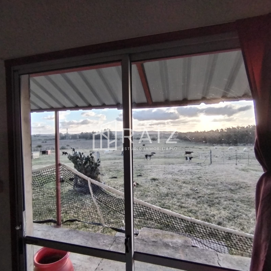 Chacra ID.11165 - Venta Chacra 8 Hás San Carlos R39