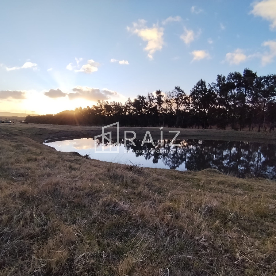 Chacra ID.11165 - Venta Chacra 8 Hás San Carlos R39