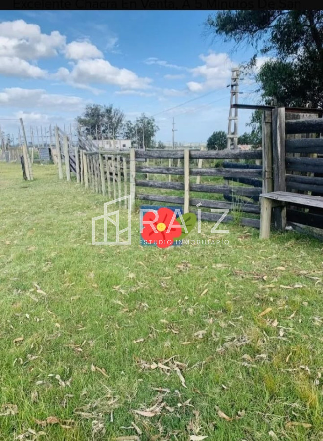 Chacra ID.11178 - Venta Chacra 8 hás, Camino de los Ceibos