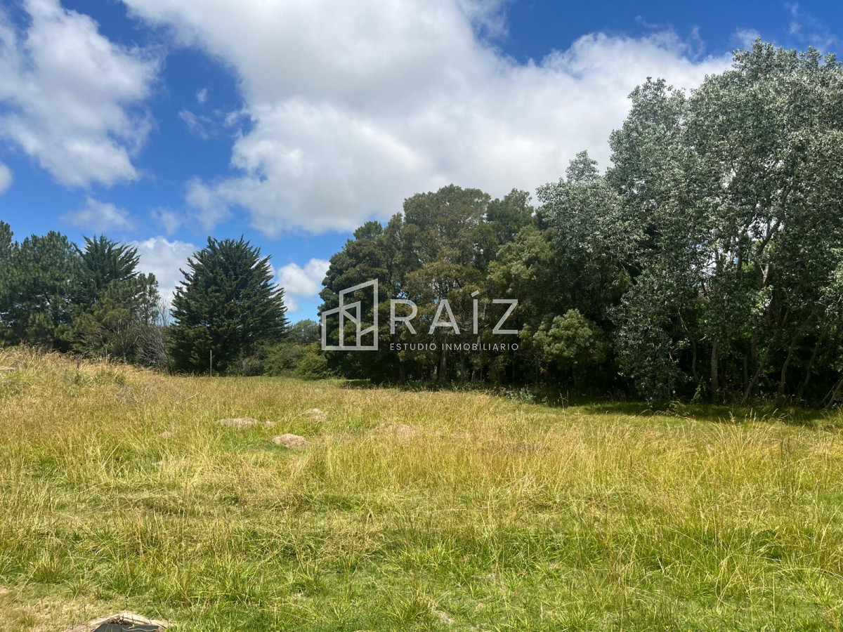 Chacra ID.11702 - VENTA 11 HECTAREAS RUTA 104