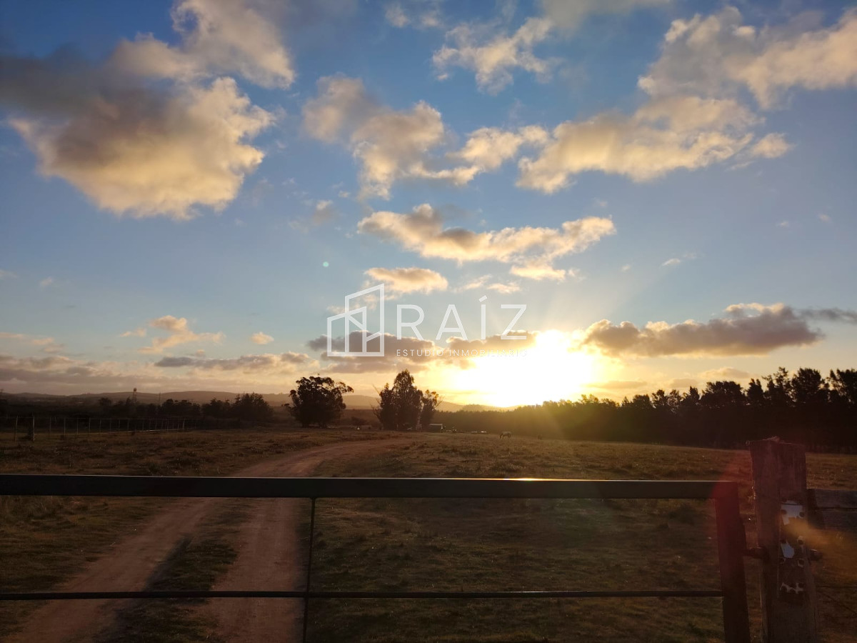 Chacra ID.11165 - Venta Chacra 8 Hás San Carlos R39