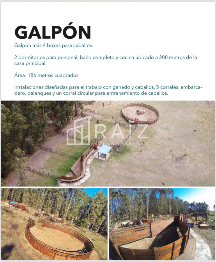 Chacra ID.7121 - CHACRA EN VENTA 134 HAS MALDONADO