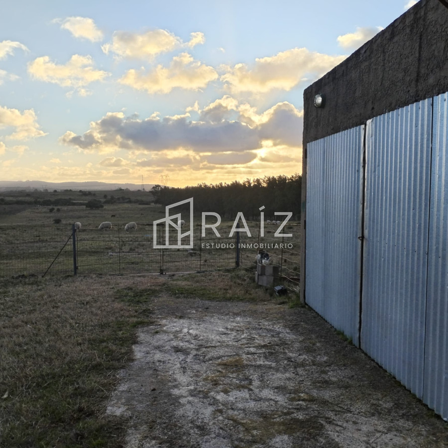 Chacra ID.11165 - Venta Chacra 8 Hás San Carlos R39