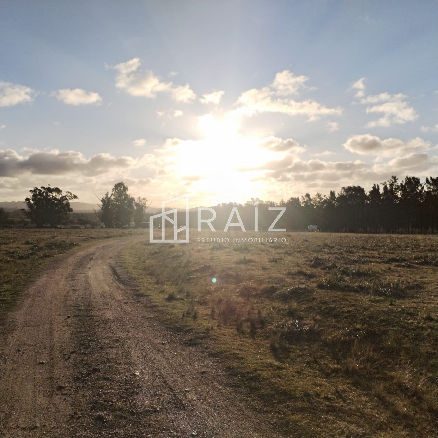 Chacra ID.11165 - Venta Chacra 8 Hás San Carlos R39