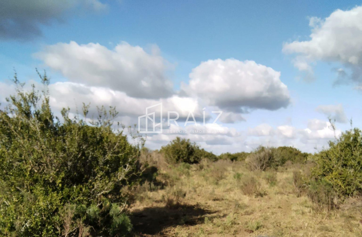 Campo Ref.9740 - CHACRA EN VENTA EN PARTIDO NORTE