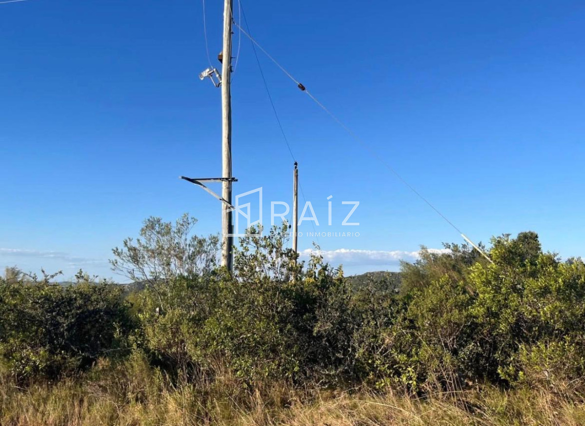 Campo Ref.12083 - VENTA CAMPO 10 HAS RUTA 39