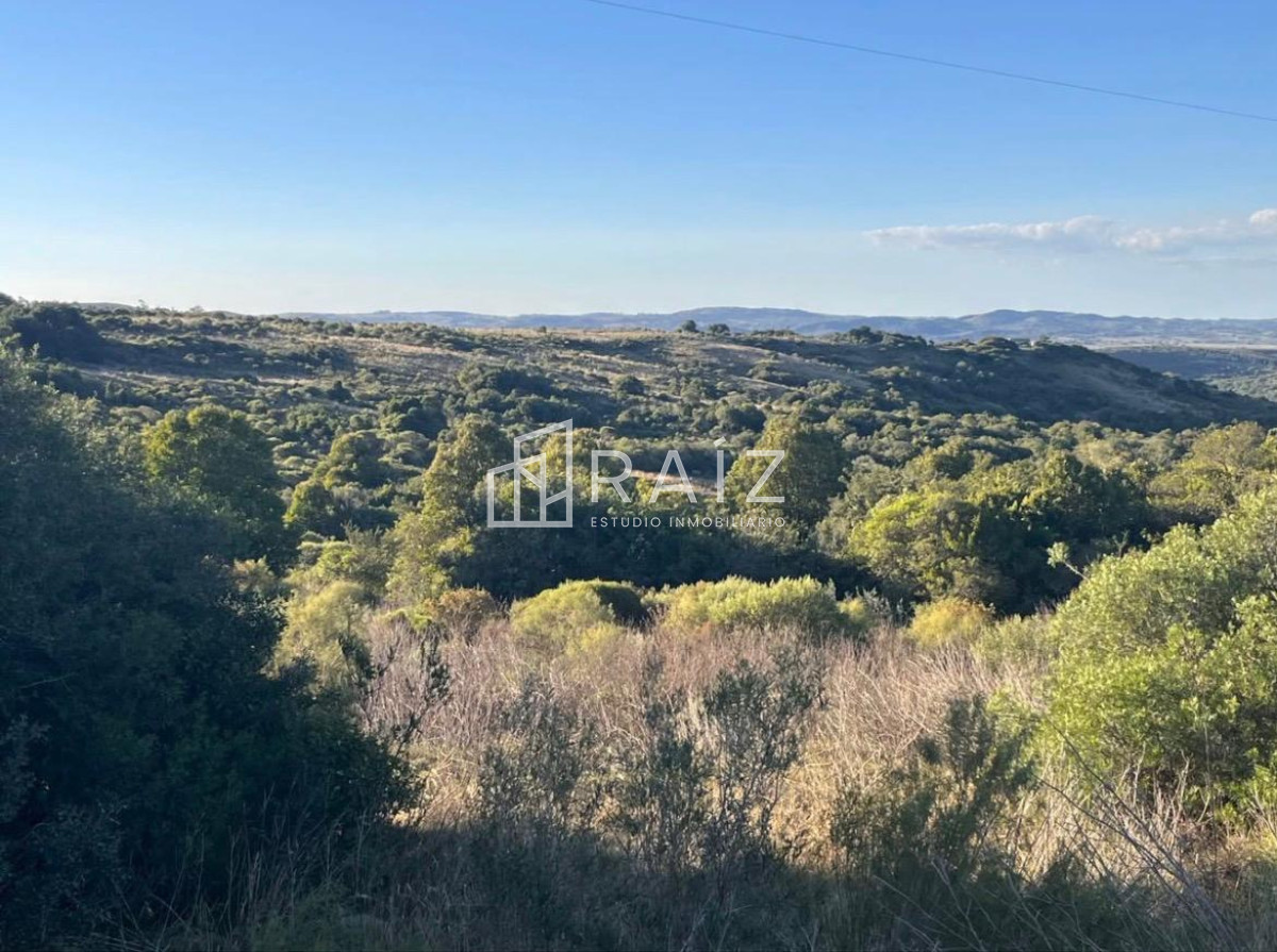 Campo Ref.12083 - VENTA CAMPO 10 HAS RUTA 39