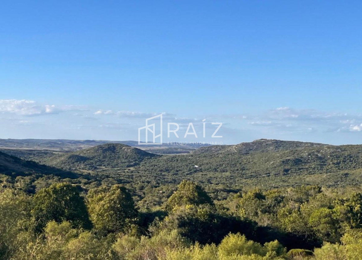 Campo Ref.12082 - VENTA CAMPO 8 HAS RUTA 39 