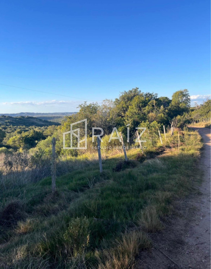 Campo Ref.12082 - VENTA CAMPO 8 HAS RUTA 39 