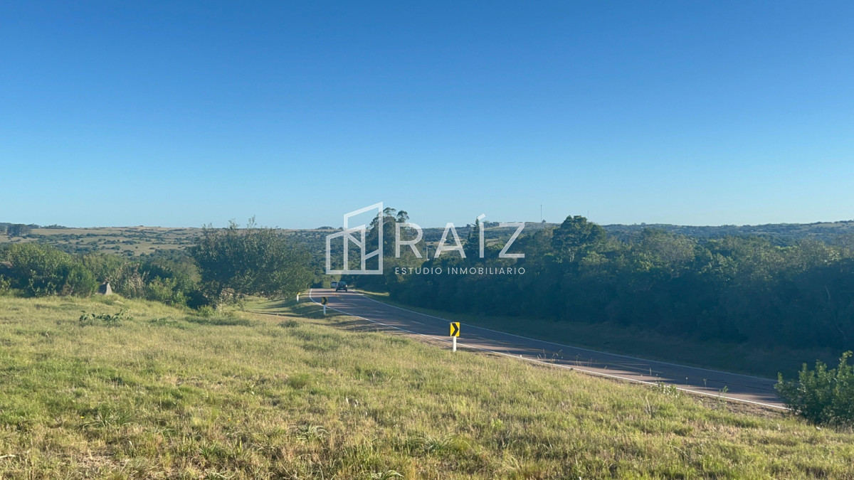 Campo Ref.12082 - VENTA CAMPO 8 HAS RUTA 39 