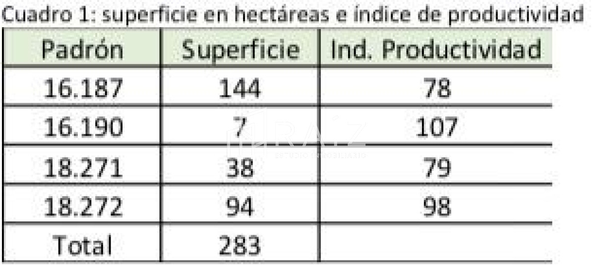 Campo Ref.4316 - BUEN  CAMPO DE 283 ha. DE LAS CUALES 60ha.SON FORESTADAS  