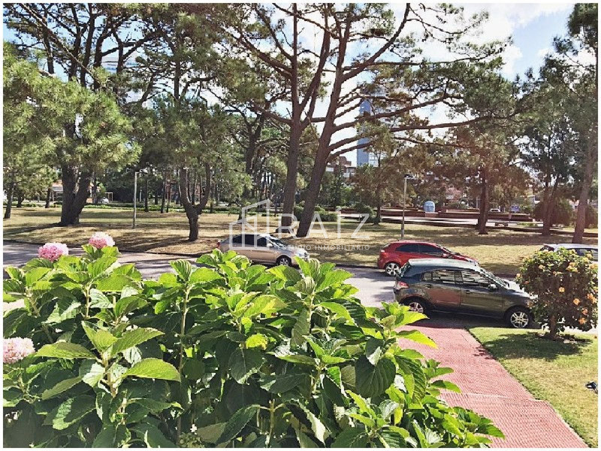 Local Comercial ID.2652 - Local en Punta del Este, Aidy Grill