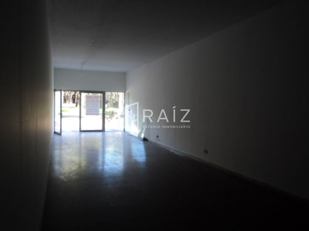 Local Comercial ID.775 - Local en Punta del Este, Península