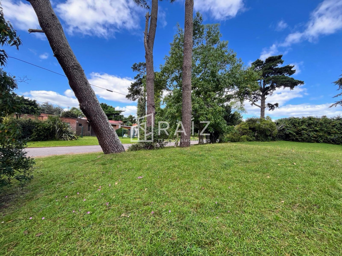 Terreno ID.3801 - Excelente terreno apto para ph