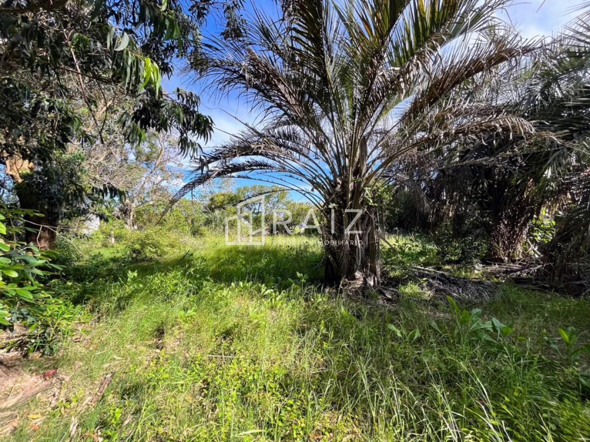 Terreno ID.5726 - VENTA TERRENO 520M EL CHORRO