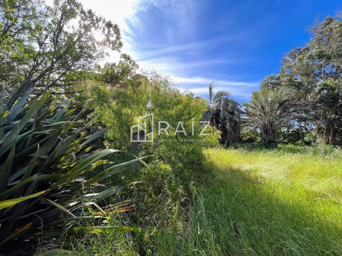 Terreno ID.5726 - VENTA TERRENO 520M EL CHORRO