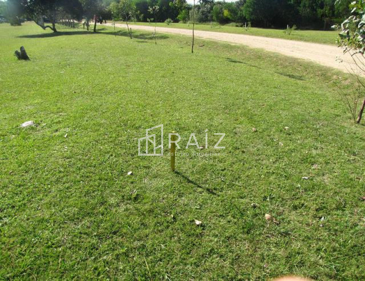 Terreno ID.3665 - Terreno en , Rocha