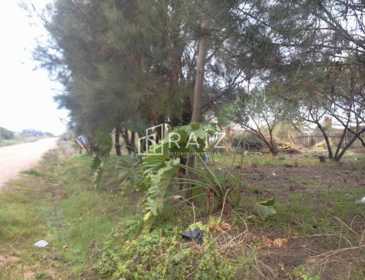 Terreno ID.3676 - Terreno en La Barra, La Barra