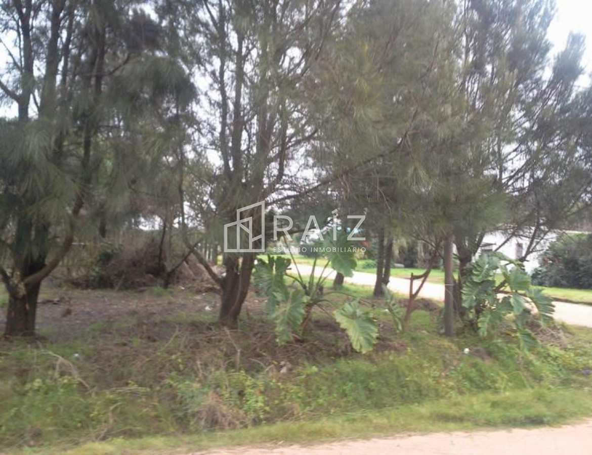 Terreno ID.3676 - Terreno en La Barra, La Barra