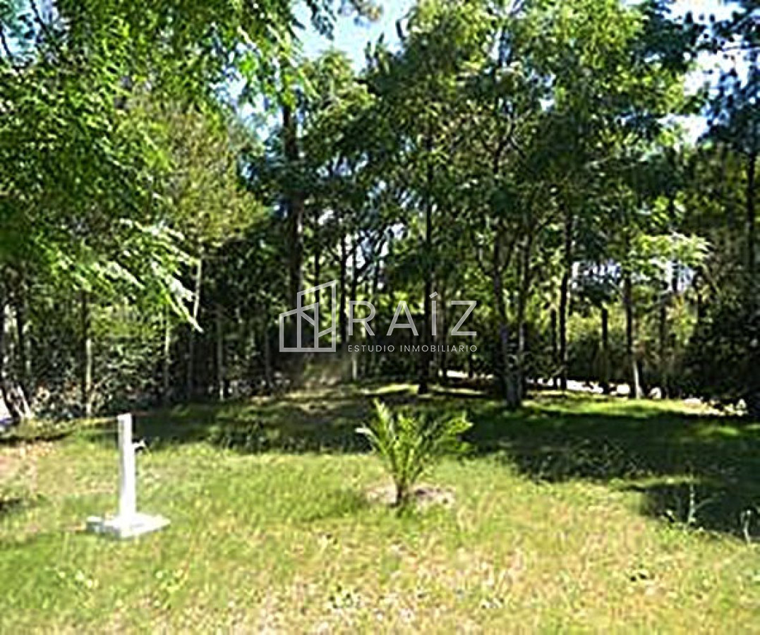 Terreno ID.3799 - Terreno en Punta del Este, Lugano