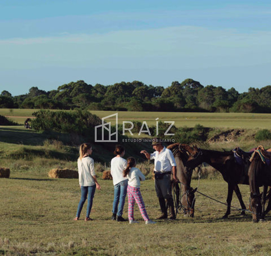 Terreno ID.3814 - Terreno en Jose Ignacio, José Ignacio