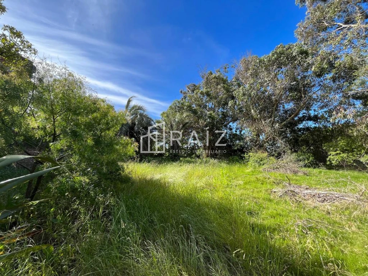 Terreno ID.5726 - VENTA TERRENO 520M EL CHORRO