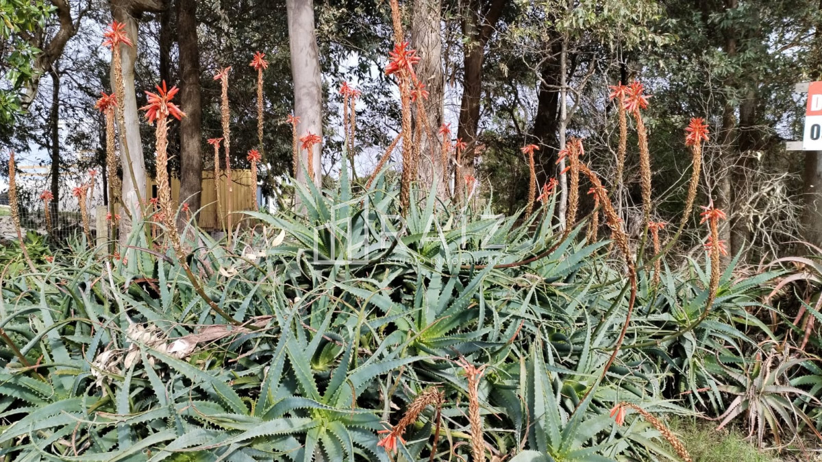 Terreno ID.11160 - Venta Terreno Balneario Solis