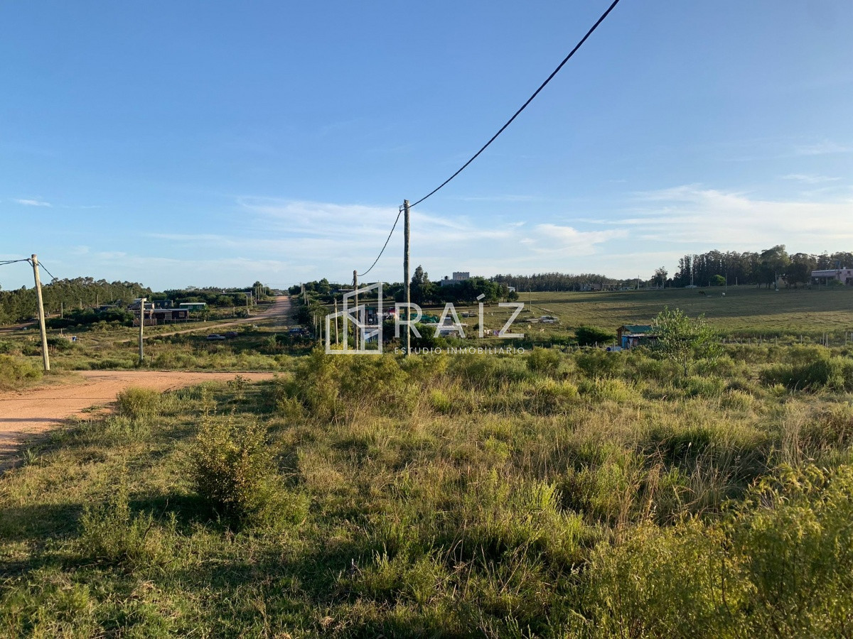 Terreno ID.7034 - SE VENDEN 10 LOTES EN LA BOTA 300MTS CADA UNO