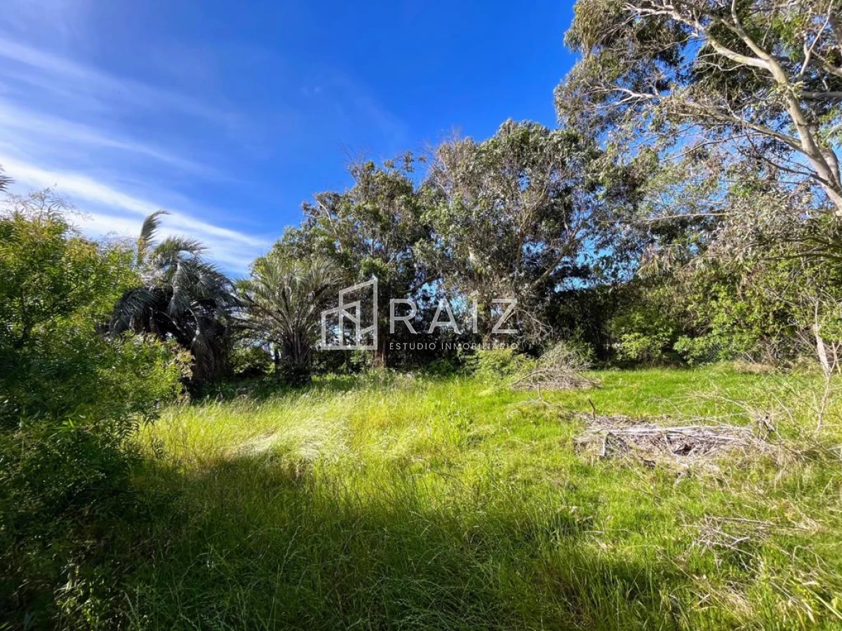 Terreno ID.5726 - VENTA TERRENO 520M EL CHORRO