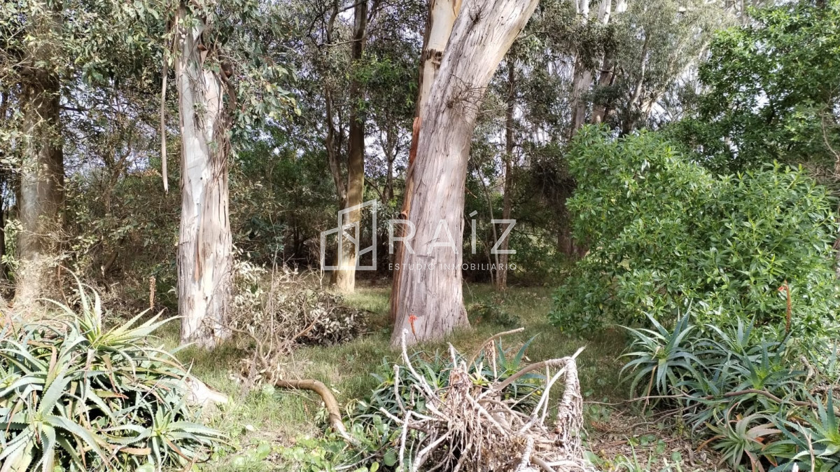 Terreno ID.11160 - Venta Terreno Balneario Solis