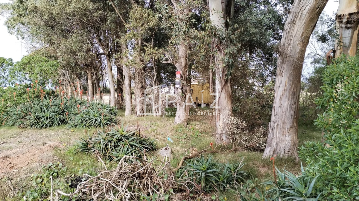 Terreno ID.11160 - Venta Terreno Balneario Solis