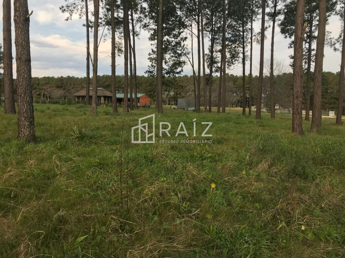 Terreno ID.9132 - TERRENO EN VENTA EN  CHACRAS DEL PINAR