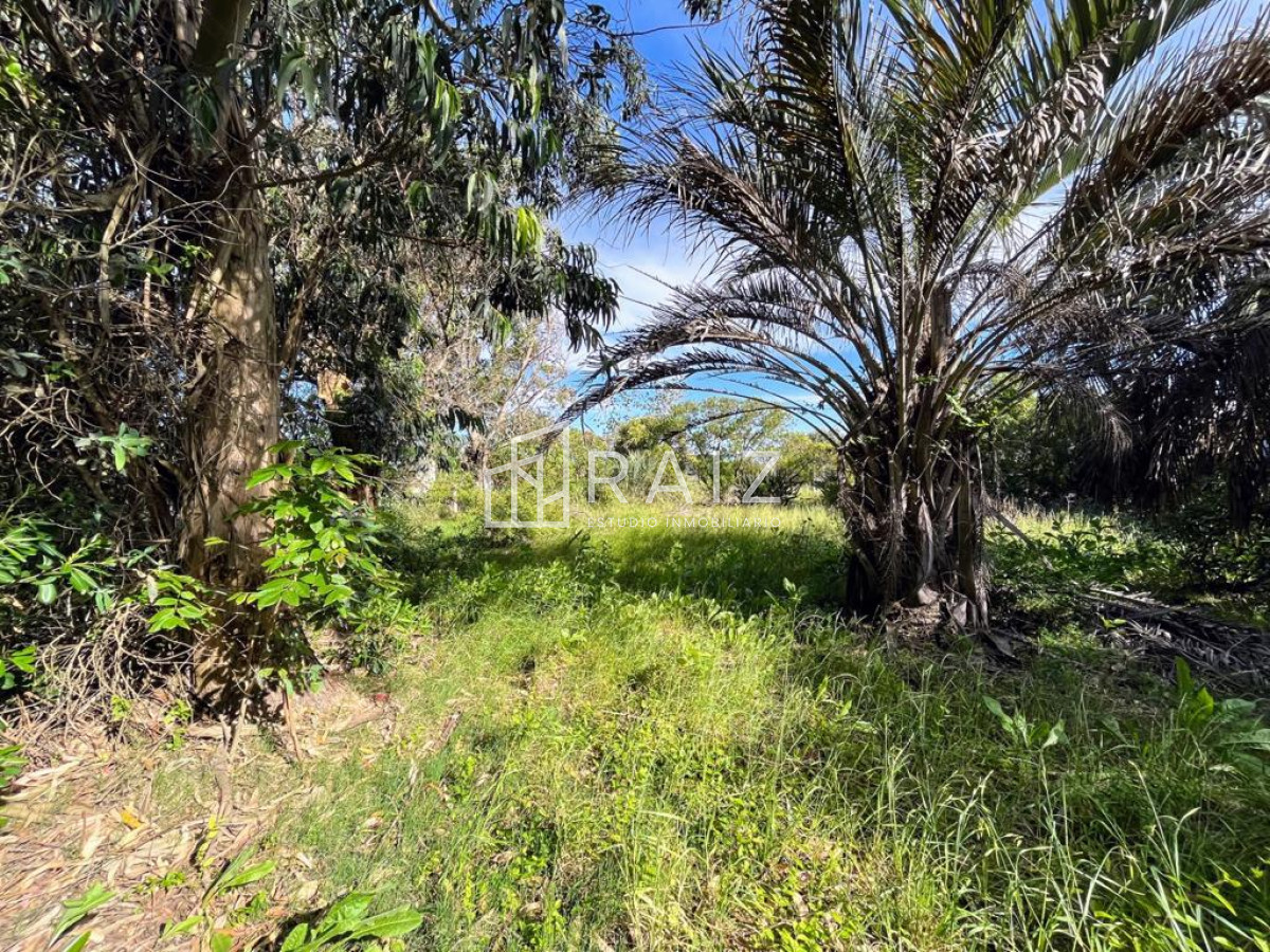 Terreno ID.5726 - TERRENO EN EL CHORRO