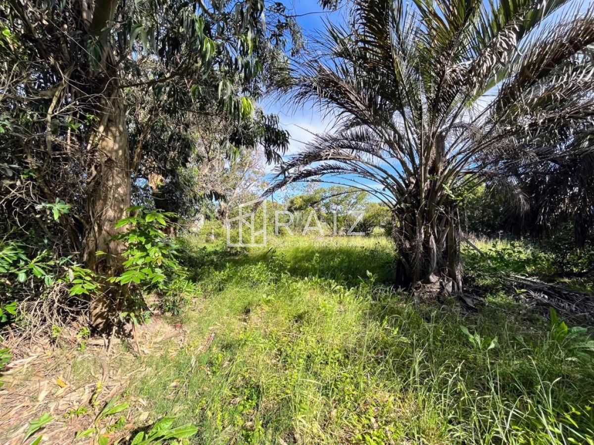 Terreno ID.5726 - VENTA TERRENO 520M EL CHORRO