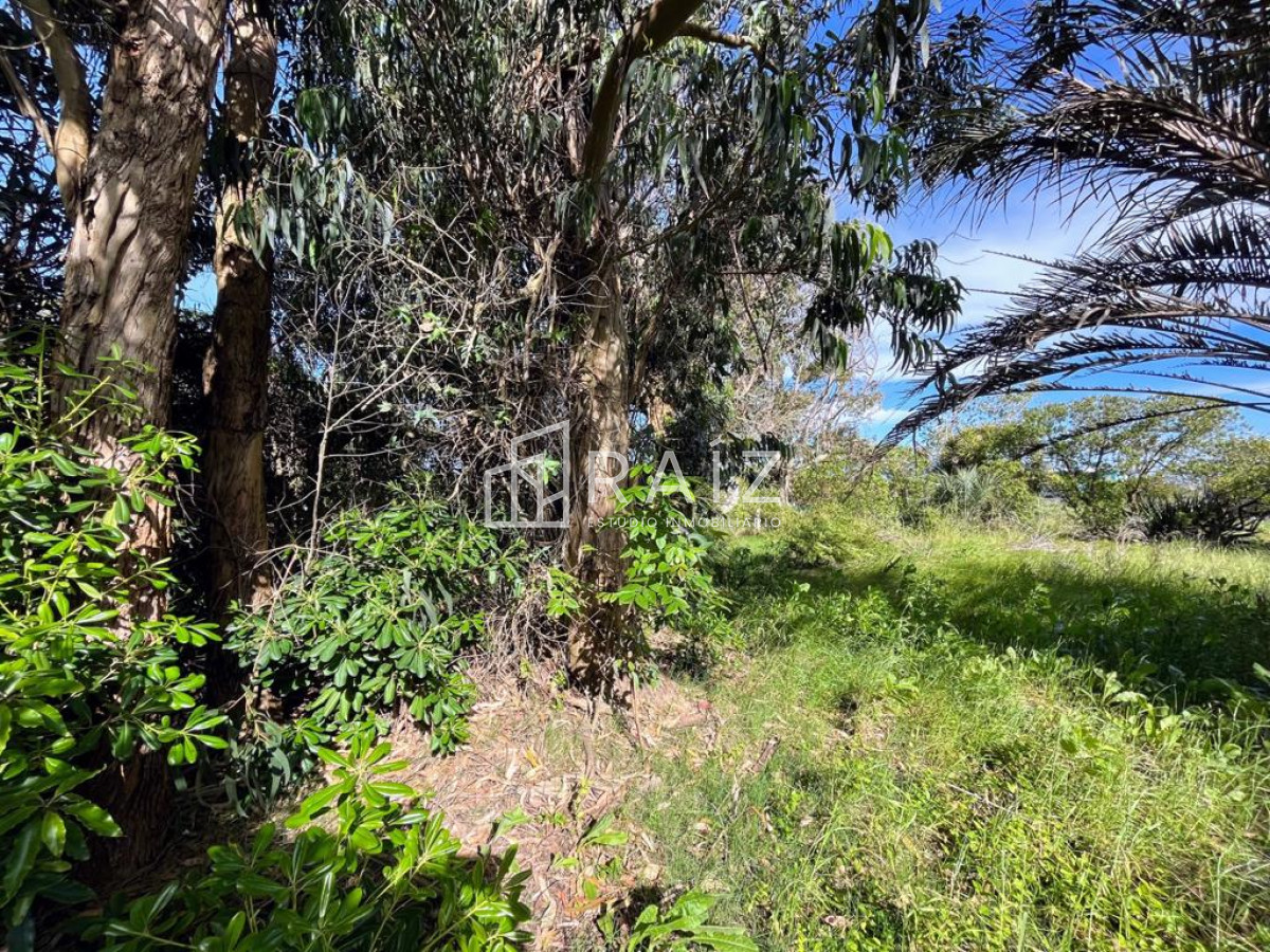 Terreno ID.5726 - TERRENO EN EL CHORRO