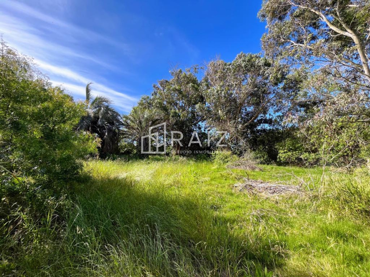 Terreno ID.5726 - TERRENO EN EL CHORRO