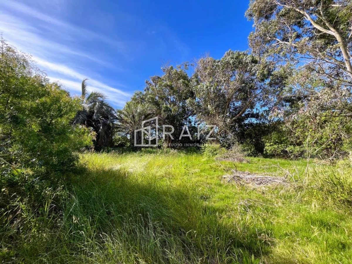 Terreno ID.5726 - VENTA TERRENO 520M EL CHORRO