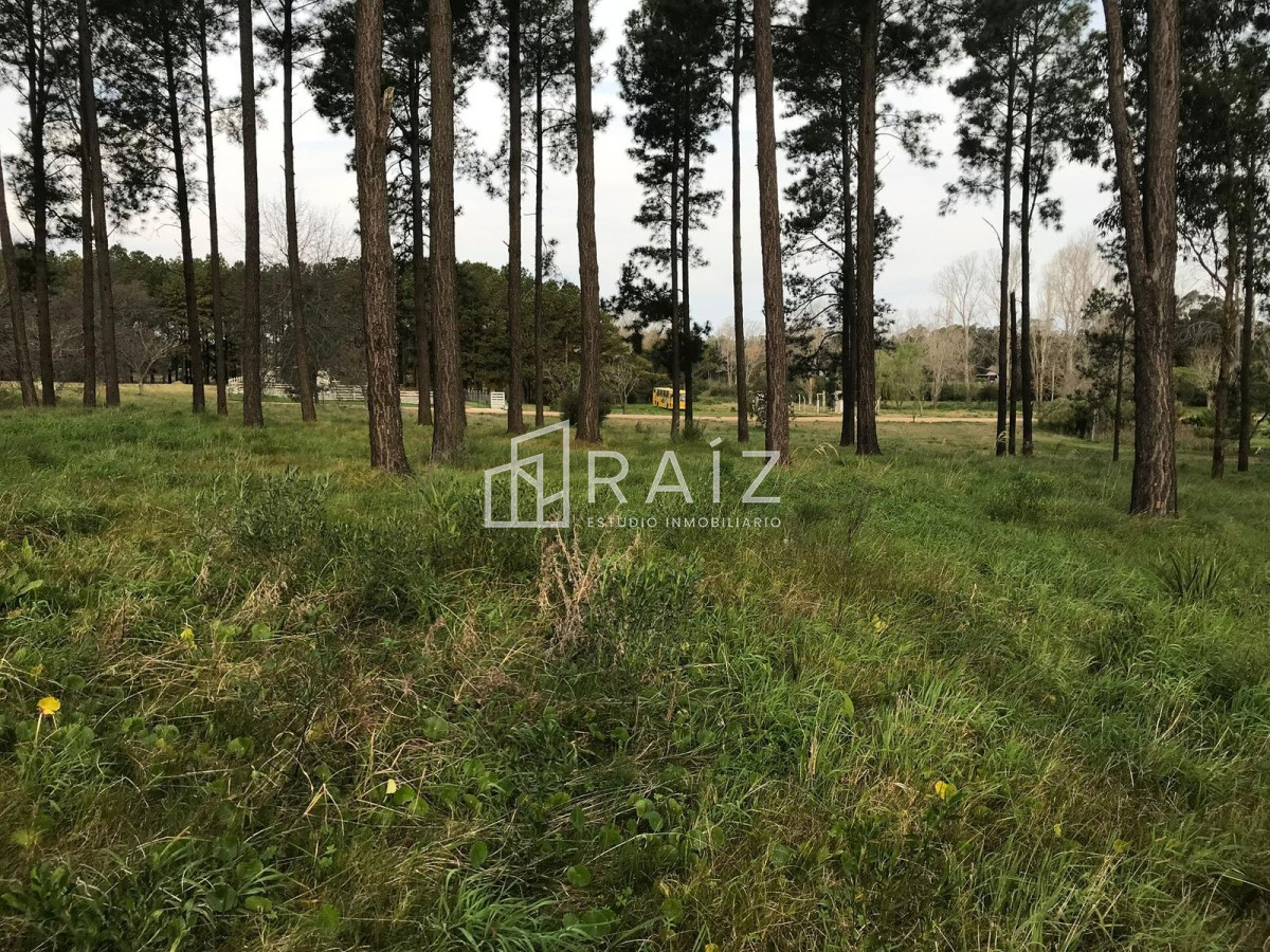 Terreno ID.9132 - TERRENO EN VENTA EN  CHACRAS DEL PINAR