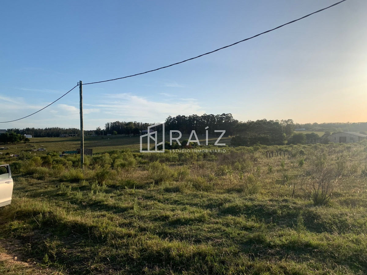 Terreno ID.7034 - SE VENDEN 10 LOTES EN LA BOTA 300MTS CADA UNO