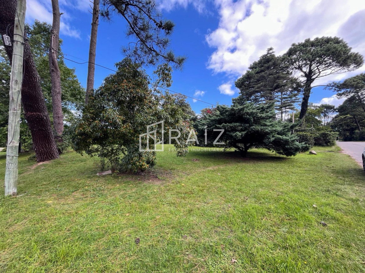 Terreno ID.3801 - Excelente terreno apto para ph