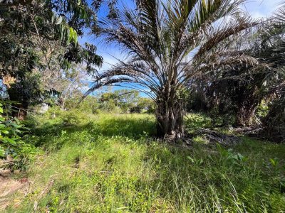 VENTA TERRENO 520M EL CHORRO