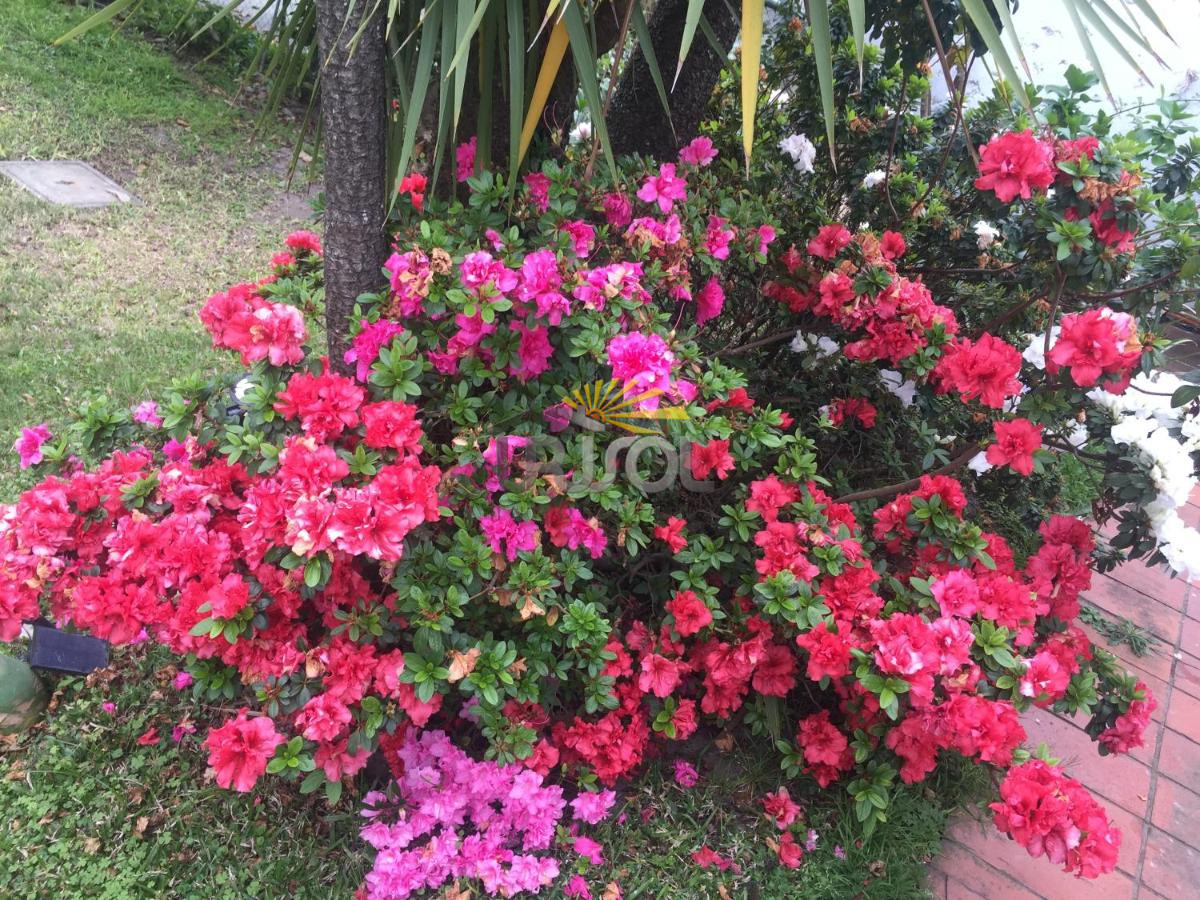 Casa ID.88 - Se VENDE Casa de 6 Dormitorios 