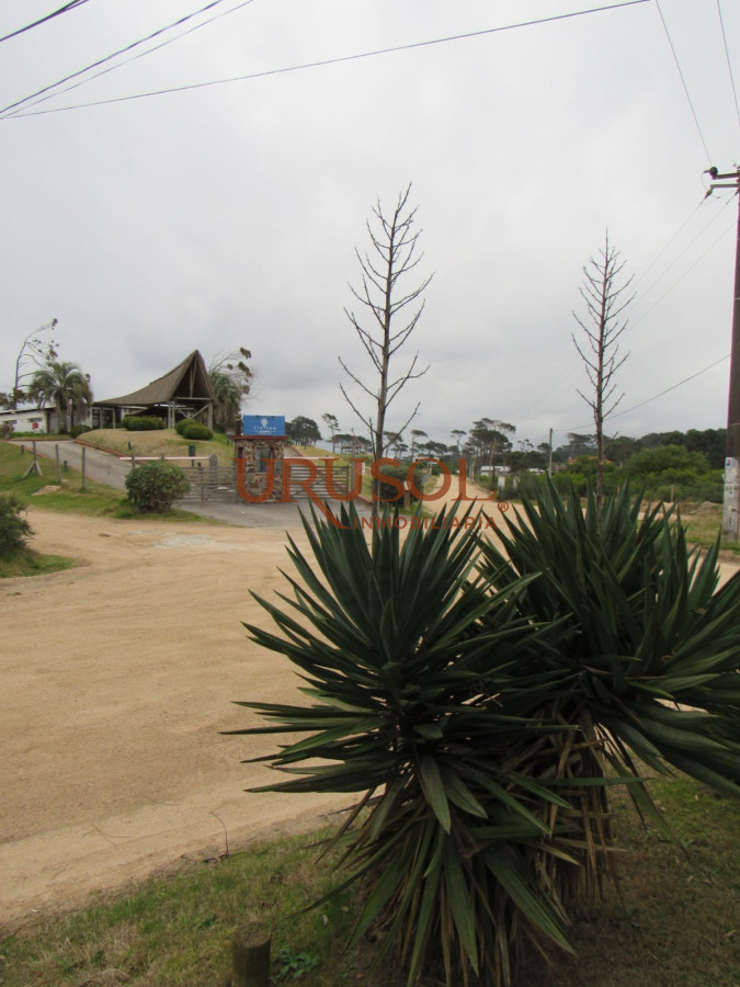 Casa ID.106 - Alquiler Anual en Punta Ballena